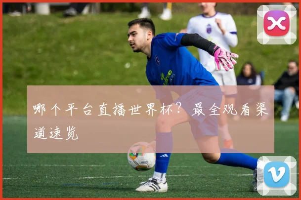 哪个平台直播世界杯？最全观看渠道速览