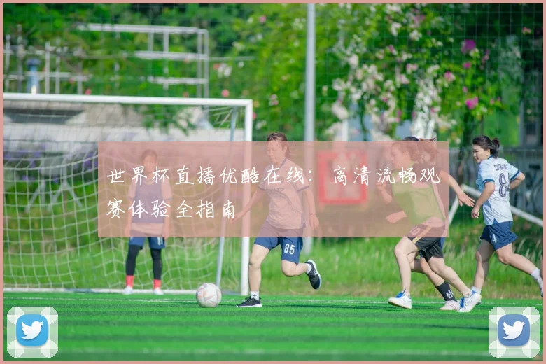 世界杯直播优酷在线：高清流畅观赛体验全指南