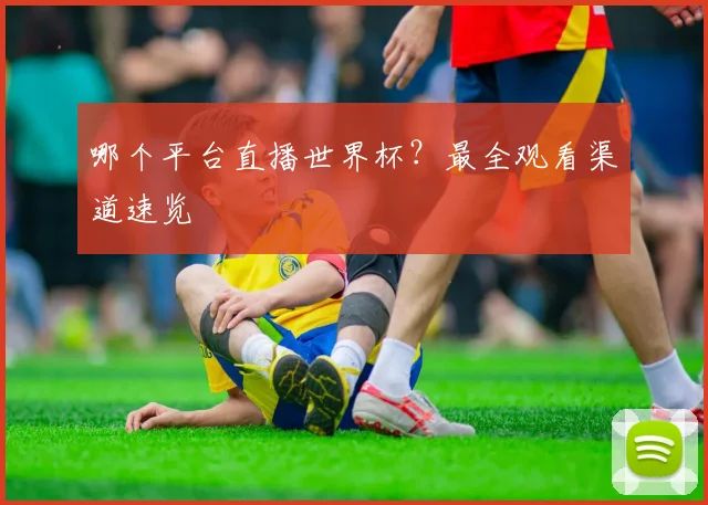 哪个平台直播世界杯？最全观看渠道速览