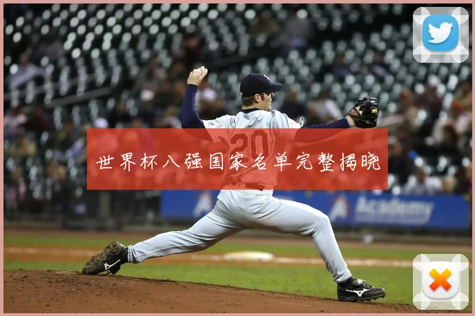世界杯八强国家名单完整揭晓