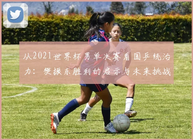 从2021世界杯男单决赛看国乒统治力：樊振东胜利的启示与未来挑战