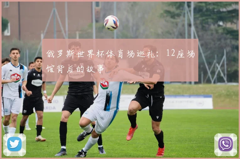 俄罗斯世界杯体育场巡礼：12座场馆背后的故事
