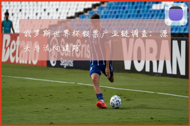 俄罗斯世界杯假票产业链调查：源头与流向追踪