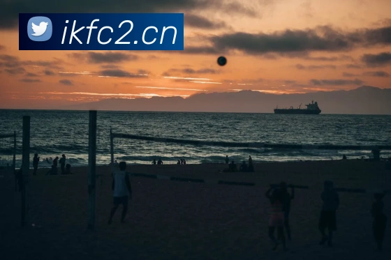 milan米兰官方网APP 封面图